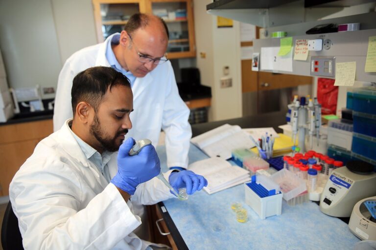 New UCF Study Links Microgravity, Space Radiation to Accelerated Aging