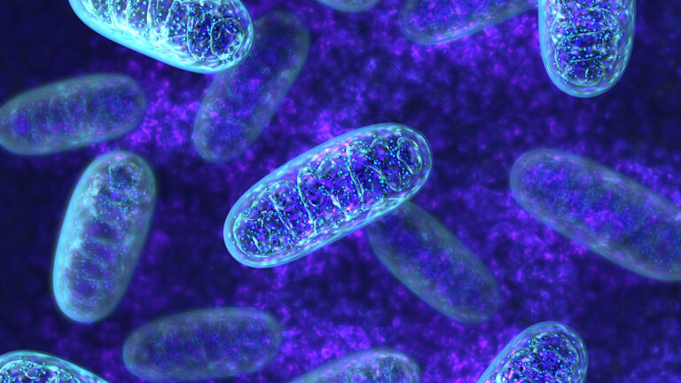 Frontiers in Science: Simple test could help track metabolic health in cancer and chronic disease Frontiers in Science: Simple test could help track metabolic health in cancer and chronic disease