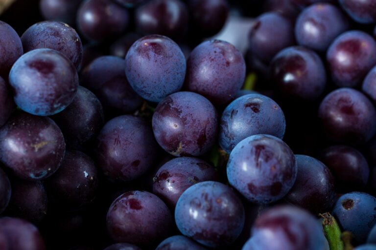 Eating This Fruit Could Improve Joint Health: New Study