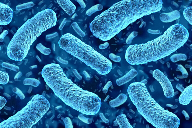 Cyclospora Boosts Fears That Worse Foodborne Outbreaks Are Ahead