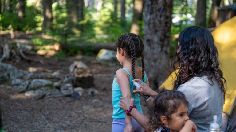 How to keep safe amid another summer with high tick counts How to keep safe amid another summer with high tick counts