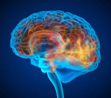 22-NEU-3482371 Alzheimers-brain-650×450