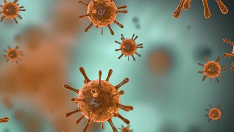 No evidence of highly virulent COVID-19 variant in T.N., says Health department No evidence of highly virulent COVID-19 variant in T.N., says Health department
