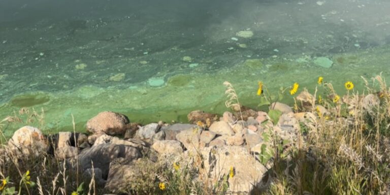 KDHE: Several Kansas lakes under public health advisory due to blue KDHE: Several Kansas lakes under public health advisory due to blue