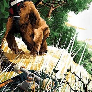 close up illustration of dog with a skateboard in the foreground