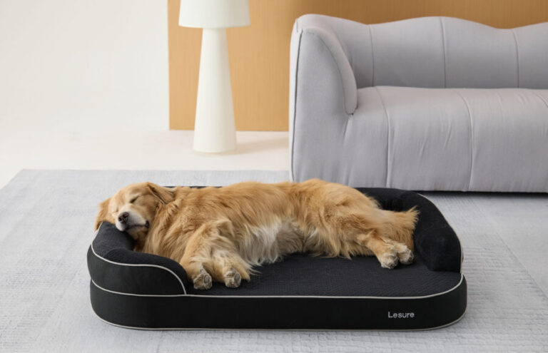 Lifestyle Brand Lesure Brings Human Sleep Standards to Pets with RealOrtho Dog Bed Launch Lifestyle Brand Lesure Brings Human Sleep Standards to Pets with RealOrtho Dog Bed Launch