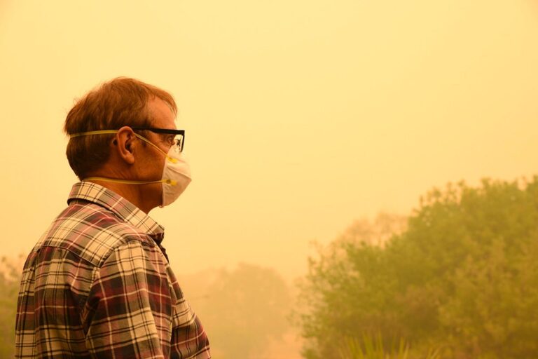 Wildfire smoke: How to protect yourself, according to experts | Harvard T.H. Chan School of Public Health Wildfire smoke: How to protect yourself, according to experts | Harvard T.H. Chan School of Public Health