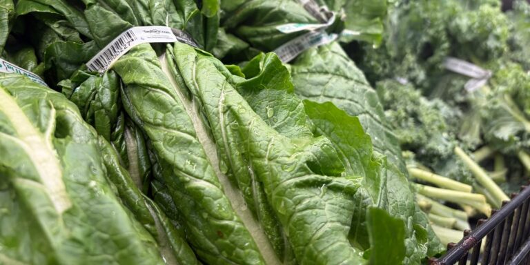 Alabama health officials report 28 cases of Cyclospora amid national outbreak Alabama health officials report 28 cases of Cyclospora amid national outbreak