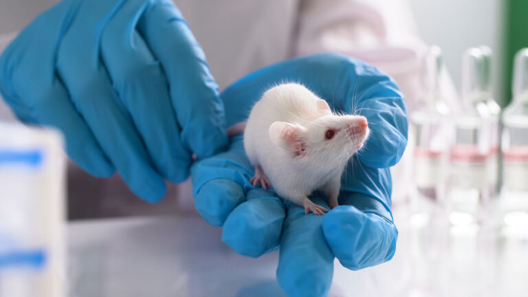 Crohn’s Disease Phage Therapy Neutralizes Inflammatory E. coli in Mouse Model Crohn’s Disease Phage Therapy Neutralizes Inflammatory E. coli in Mouse Model