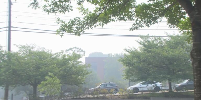 Poor air quality affects those with, and without, respiratory diseases Poor air quality affects those with, and without, respiratory diseases