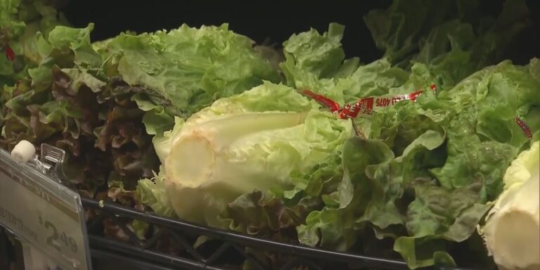 Nutritionist shares safe food handling tips amid national cyclosporiasis outbreak Nutritionist shares safe food handling tips amid national cyclosporiasis outbreak