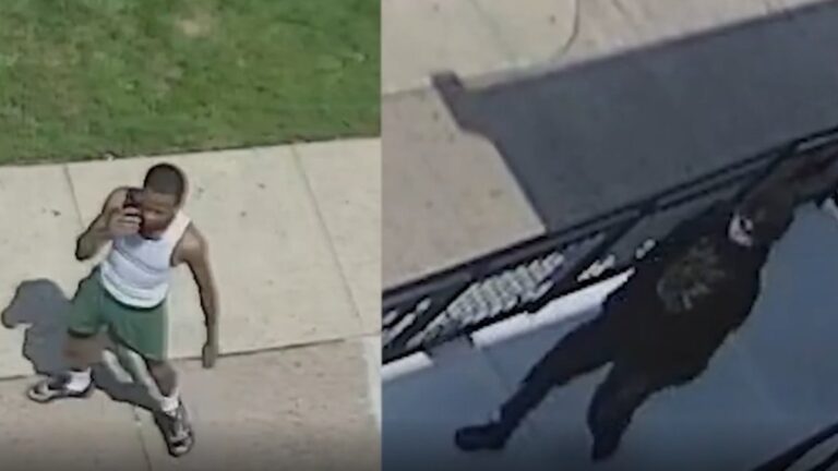 PSPCA seeks pair who abandoned severely injured dog at Philly shelter PSPCA seeks pair who abandoned severely injured dog at Philly shelter