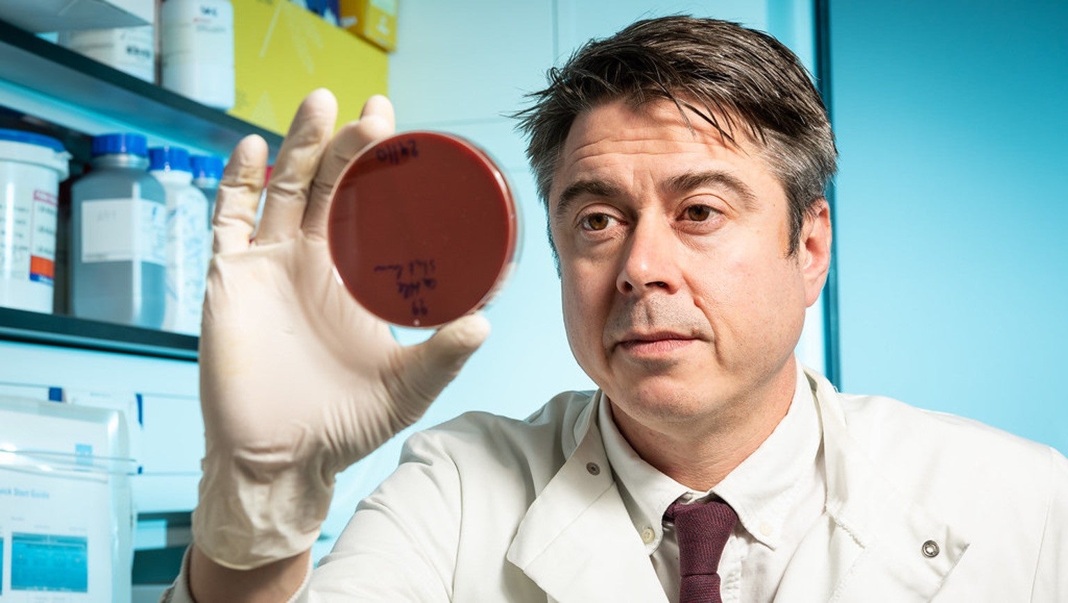 Sam Sheppard is a professor of microbial genomics and evolution at the University of Oxford