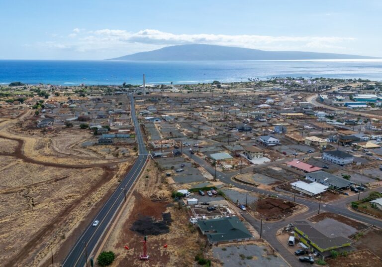 Study: Maui Wildfire Survivors Need More Support