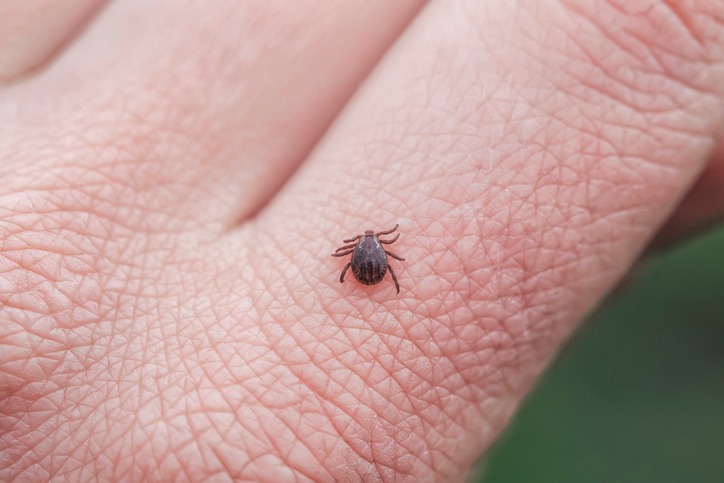 Health departments respond to bad tick year Health departments respond to bad tick year