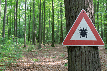 Op-ed: As mosquitoes and ticks spread, public health must keep pace Op-ed: As mosquitoes and ticks spread, public health must keep pace