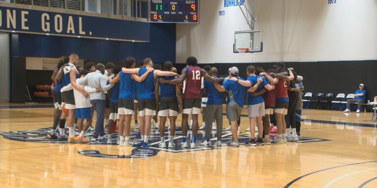 New-look Tigers building chemistry over summer workouts