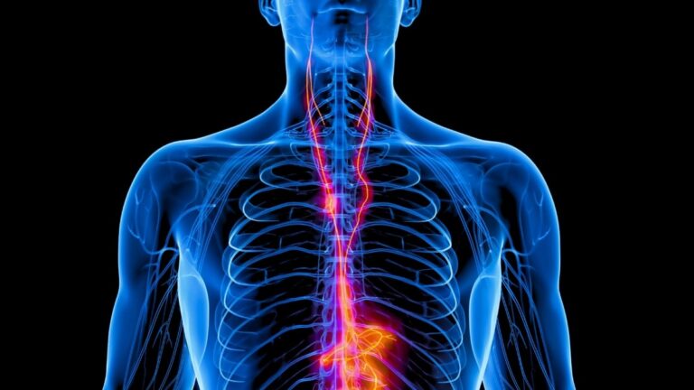 Vagus Nerve Stimulation Improves Severe Depression by 70%, Major US Trial Finds Vagus Nerve Stimulation Improves Severe Depression by 70%, Major US Trial Finds