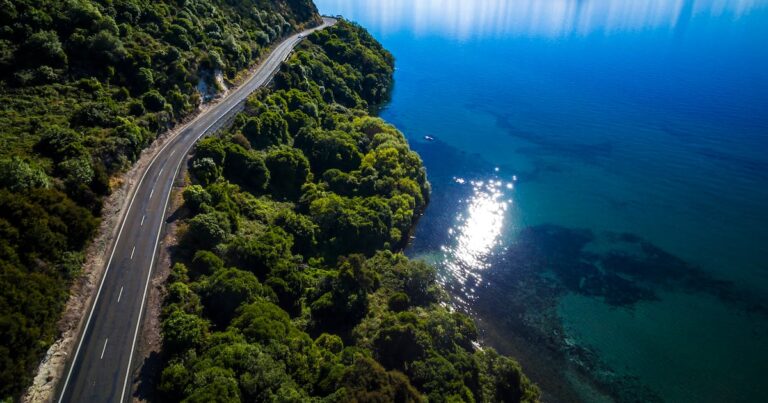 Beyond dairy: New Zealand seeks to expand global F&B acclaim Beyond dairy: New Zealand seeks to expand global F&B acclaim