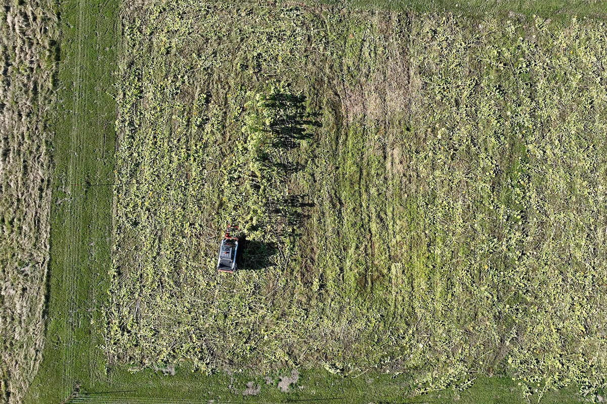 Aerial photo of a farmer’s field in Maine.