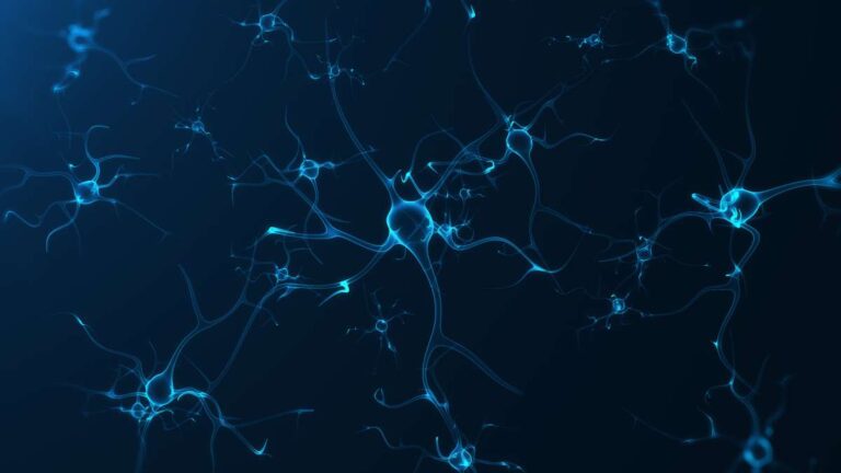 Drug reverses autism-like brain changes in adult mice within hours, study finds