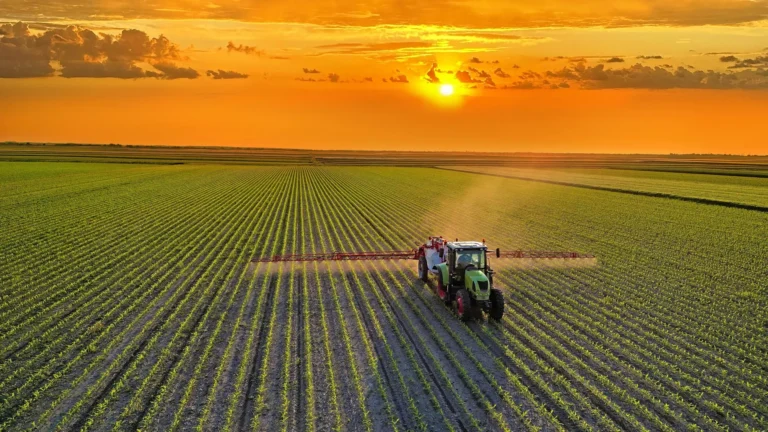 A healthier global diet could cut farm emissions by 85% A healthier global diet could cut farm emissions by 85%