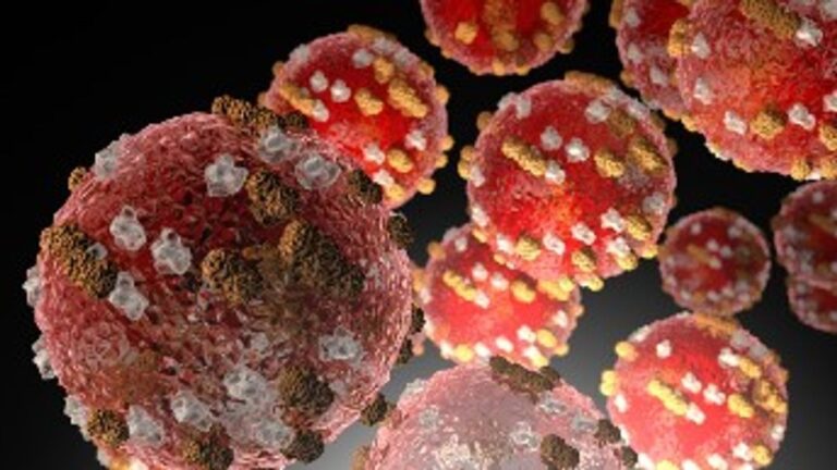 Measles case confirmed in Barbour County, W.Va., health officials say Measles case confirmed in Barbour County, W.Va., health officials say