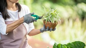 Hobbies that Help Increase Concentration to be More Productive