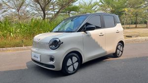 Wuling Aira EV Ready to Launch at GIIAS 2026, Price Below IDR 200 Million?