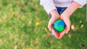 Environmentally Friendly Lifestyle Starts with How We Use Energy