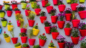 How to Make an Aesthetic Vertical Garden at Home: Preparation and Easy Tips