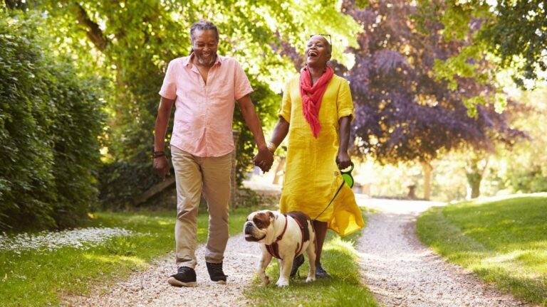 Summer exercise tips to keep your pet safe in the heat