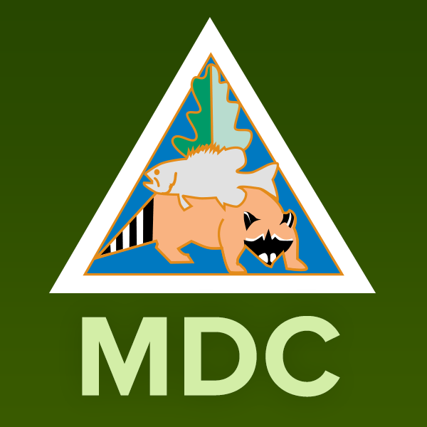 Missouri ends targeted chronic wasting disease deer removals, shifts to hunter-led management | Newstalk KZRG – KZRG Missouri ends targeted chronic wasting disease deer removals, shifts to hunter-led management | Newstalk KZRG - KZRG
