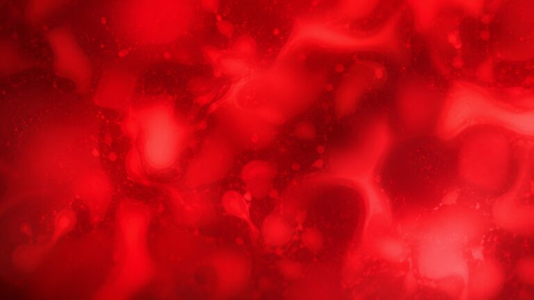 GenoPalate Expands Personalized Nutrition Platform With Blood Biomarker Analysis
