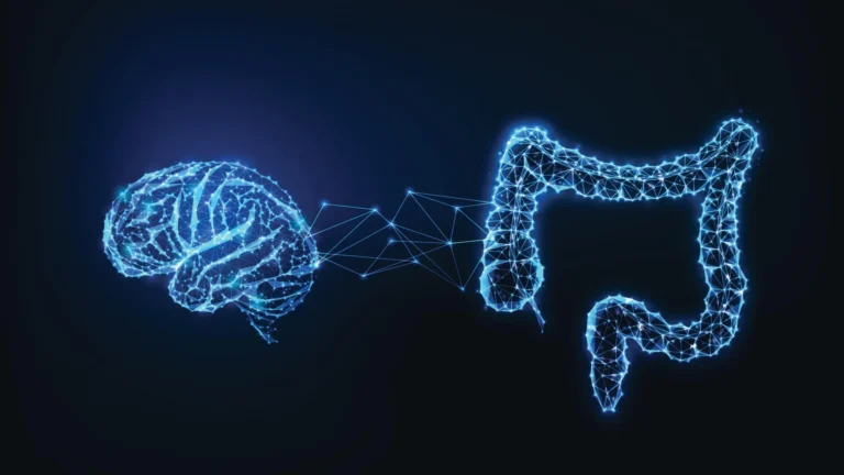 Your gut may help your brain decide what to remember Your gut may help your brain decide what to remember