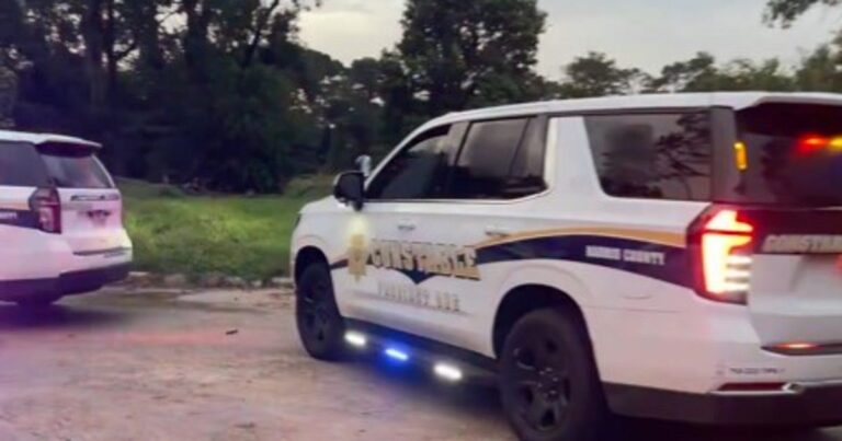 Harris County: Woman exercise-walking attacked, fought off man along White Oak Bayou Harris County: Woman exercise-walking attacked, fought off man along White Oak Bayou