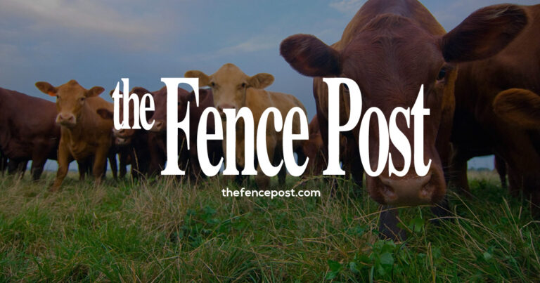 Partnering with veterinarians for better herd nutrition