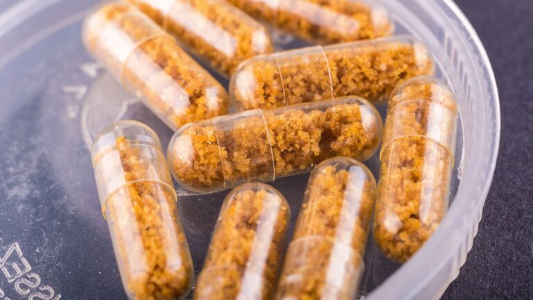 Microbes From Healthy Donor Stool May Help Treat Chronic Insomnia