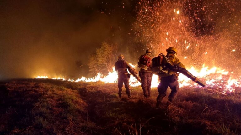 Wildfires