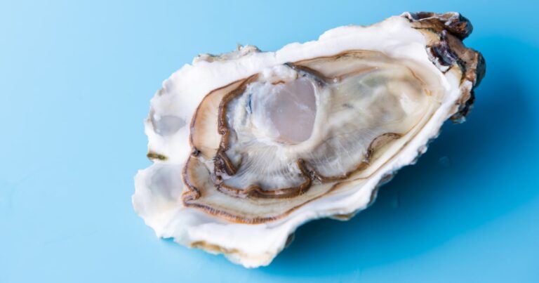 I’m an Infectious Disease Doctor. I Worry About These 6 Foodborne Illnesses More Than Cyclospora I’m an Infectious Disease Doctor. I Worry About These 6 Foodborne Illnesses More Than Cyclospora