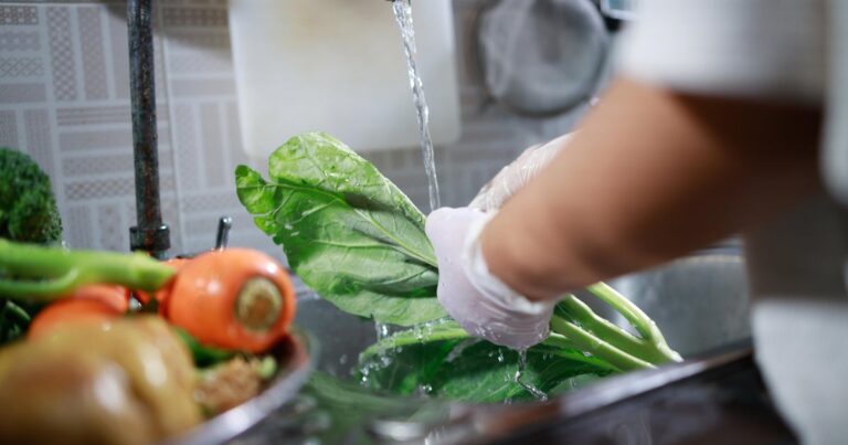 Cyclospora boosts fears that deadlier foodborne outbreaks are ahead Cyclospora boosts fears that deadlier foodborne outbreaks are ahead