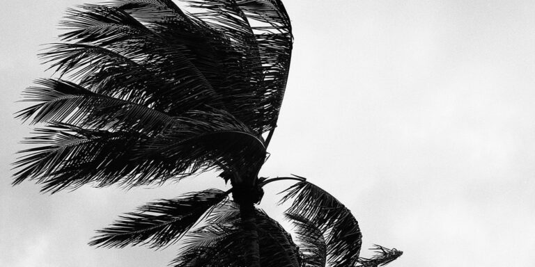 Tropical Storm Bertha strengthens, threatens Gulf Coast with heavy rain, storm surge and squalls Tropical Storm Bertha strengthens, threatens Gulf Coast with heavy rain, storm surge and squalls