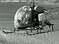 helicopter spraying malathion
