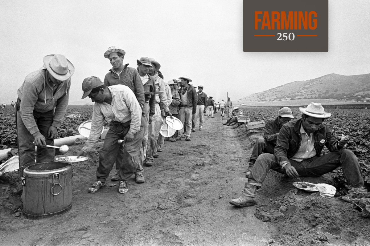 Bracero farmworkers pausing their work in the field for a meal break in June 1963. (Photo credit: Bettmann / Getty Images)