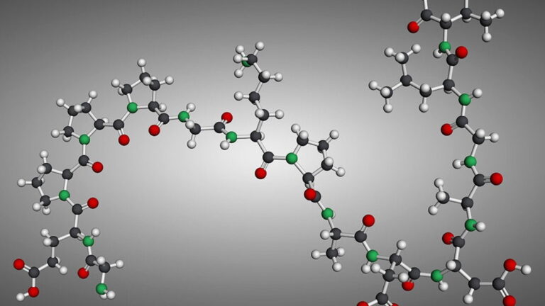 83% of peptide-aware Americans want the FDA to make peptides more accessible 83% of peptide-aware Americans want the FDA to make peptides more accessible