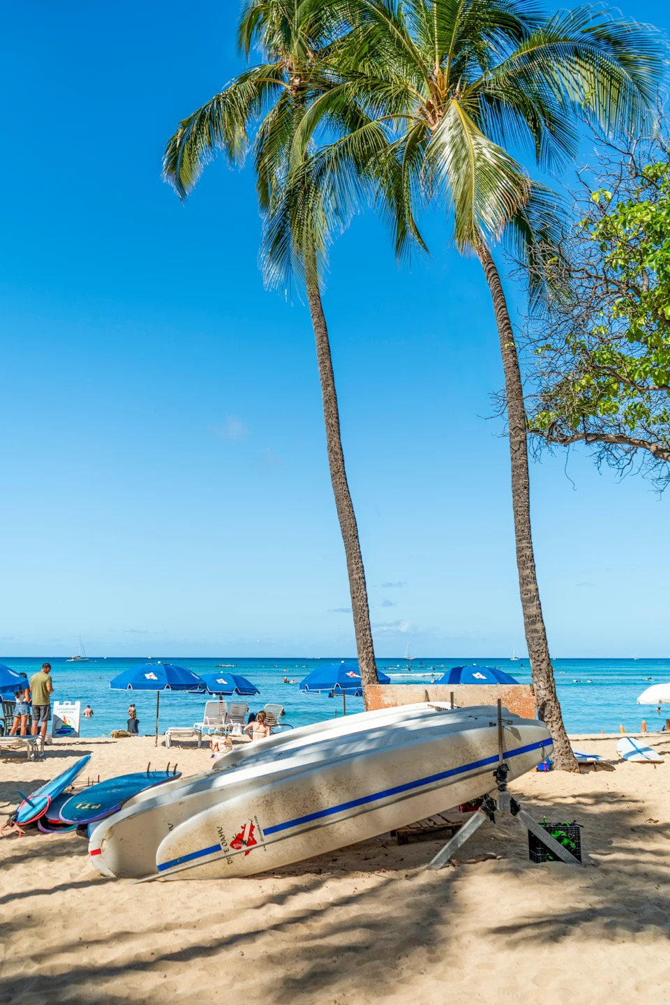 Surfboards at Waikiki beach in Honolulu