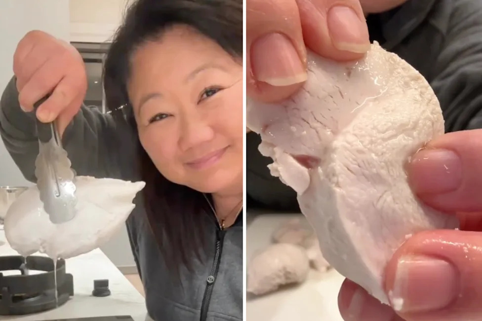 Woman holding up poached chicken next to juicy chicken