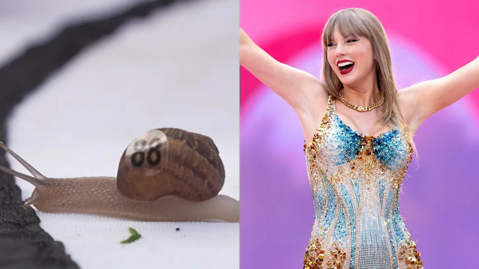 A snail crossing a black line, with a number 88 on its shell. It is crossing some white cloth. It is next to an image of Taylor Swift, with long blonde hair, in a sequined leotard, with a necklace and her arms out stretched.