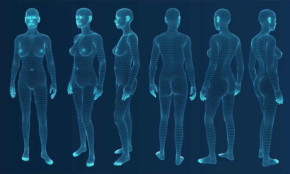 Three dimensional woman. Set. Ware mesh from 3d app.