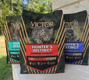 Super Premium Cat Food for Outdoor Cats